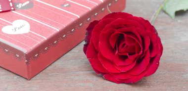 Sevgililer Günü için gül ve hediye konsepti.