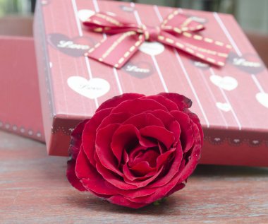 Gül ve hediye aşk konsepti