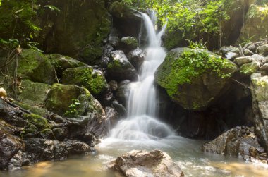 Yağmur ormanlarında tropik şelale