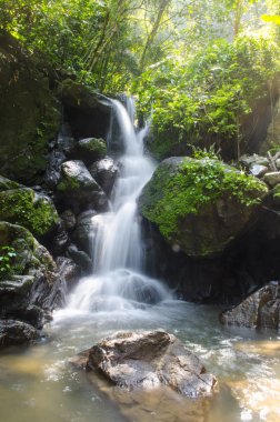 Yağmur ormanlarında tropik şelale