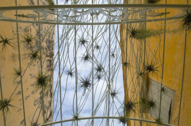 Georgetown Penang Malezya unesco mirası alanı