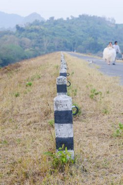 doğal yol yüzeyinde yol kenarı ayağı