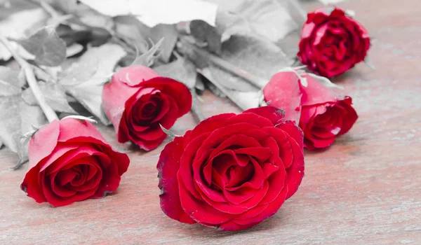 Pictures Roses Gifts Valentine Day — Stock Photo, Image