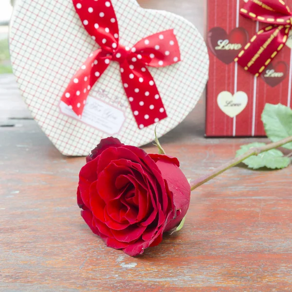 Червоні Троянди Тих Кого Любите Валентинів Сезон — стокове фото