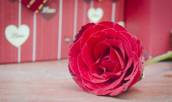 Любов Концепція Троянди Подарунка — стокове фото