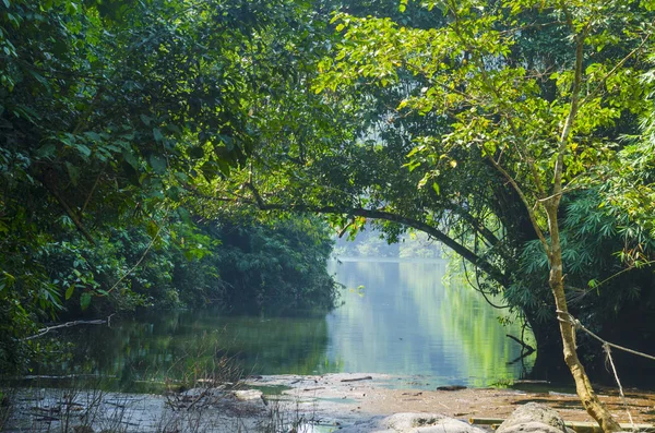 Göl, ağaçlar ve tezgah sonbahar görünümü