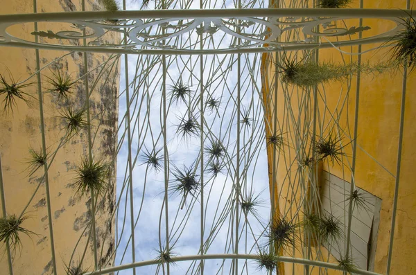 Georgetown Penang Malezya unesco mirası alanı