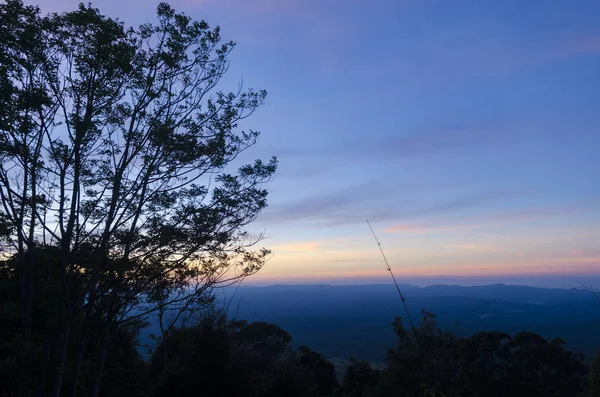 Gün batımında ağaç silueti