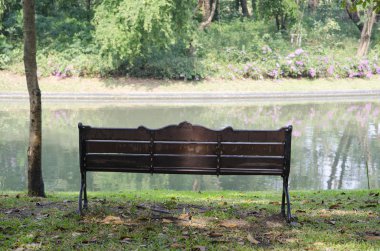 Bench in a park in spring time