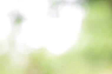 abstract green background, blurred bokeh