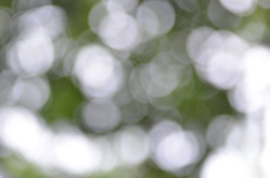 yeşil bokeh soyut ışık arkaplanı