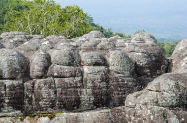 Ormandaki kayaların manzarası