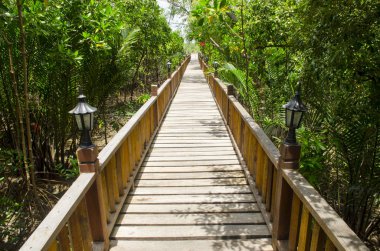 doğaya giden yol, doğal alana giden yol