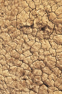 Kuru kırık toprak ayrıntılarını