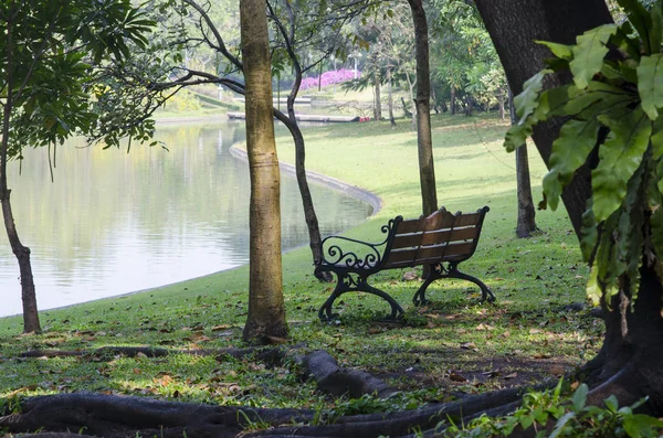 Banco Parque Tempo Primavera — Fotografia de Stock