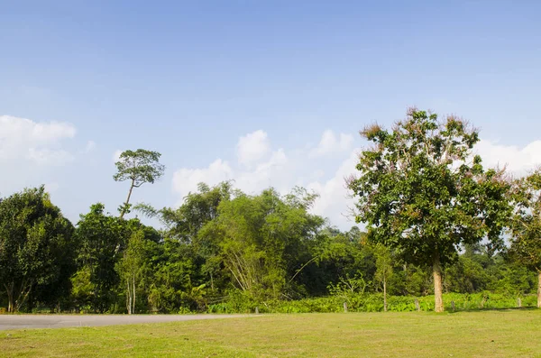 Estrada Para Natureza Caminho Para Sítio Natural — Fotografia de Stock