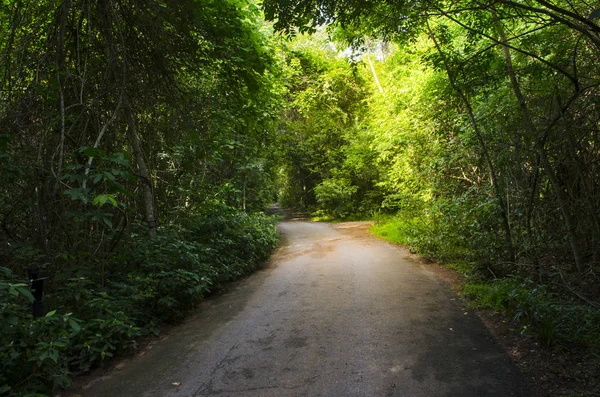 Estrada Para Natureza Caminho Para Sítio Natural — Fotografia de Stock