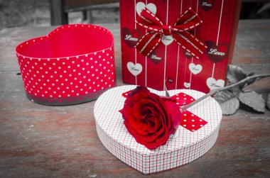 Beyaz arka plan monoton üzerinde kızıl güller. Sevgililer Günü için