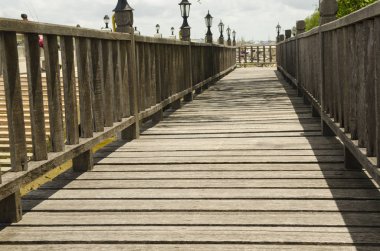 Mangrove 'dan tropikal ormana tahta köprü