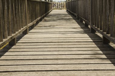 Mangrove 'dan tropikal ormana tahta köprü