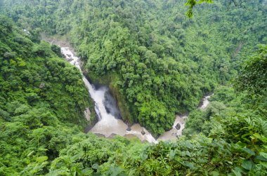 Deep forest waterfall at Khao Yai National Park Nakhonnayok Thailand