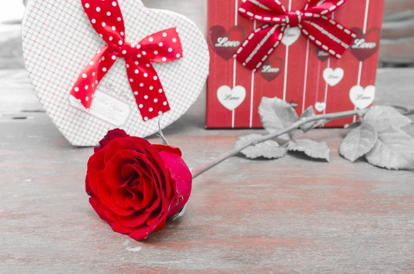 Червоні Троянди Білому Тлі Монотонною Свято Святого Валентина — стокове фото