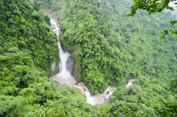 Deep Forest Waterfall Khao Yai National Park Nakhonnayok Thailand — стокове фото