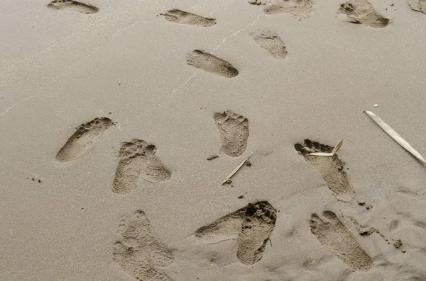 바닷가 모래에 발자국의 클로즈업 — 스톡 사진