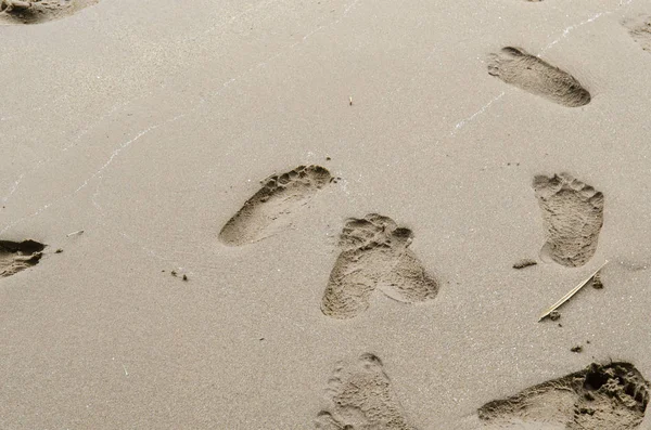 바닷가 모래에 발자국의 클로즈업 — 스톡 사진