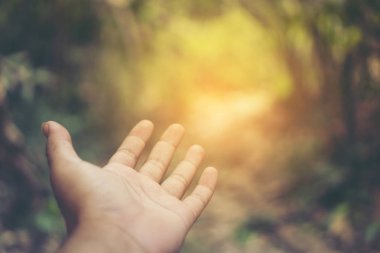 human hand on nature background, nature connecting concept