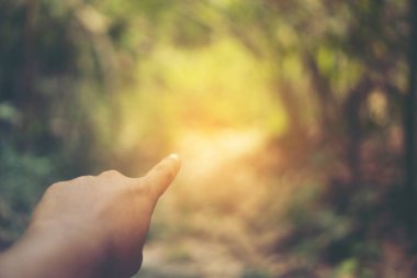 human hand on nature background, nature connecting concept