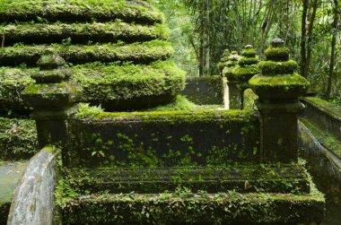 Chanthaburi Eyaleti Tayland 'daki Phlio Şelalesi Ulusal Parkı' ndaki eski pagoda ve yosun.