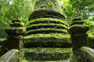 Chanthaburi Eyaleti Tayland 'daki Phlio Şelalesi Ulusal Parkı' ndaki eski pagoda ve yosun.