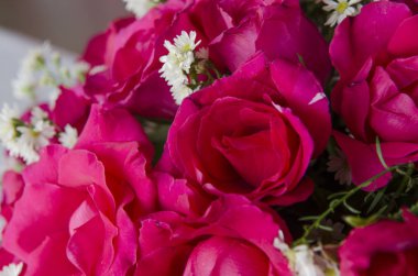 Sevgililer Günü için güller