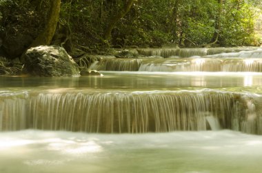 derin orman şelale erawan şelale Milli Parkı kanjanaburi Tayland at
