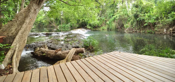 Panneaux Bois Long Des Ruisseaux Forêt Classée — Photo