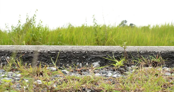 Ett Landsbygdsområde Vägavsnitt Som Asfalt — Stockfoto