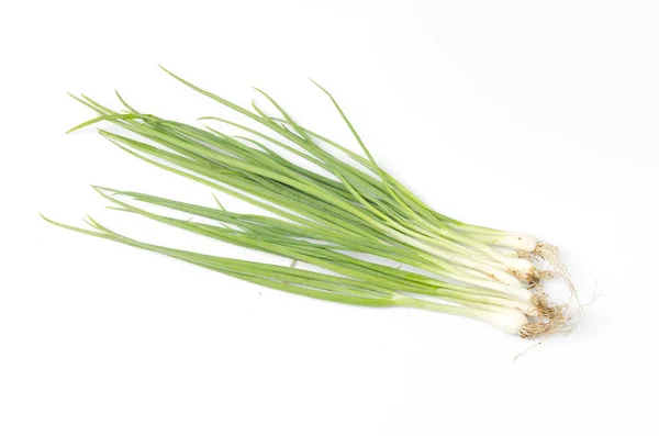 Cilantro Fresco Hierba Cebolla Sobre Fondo Blanco —  Fotos de Stock