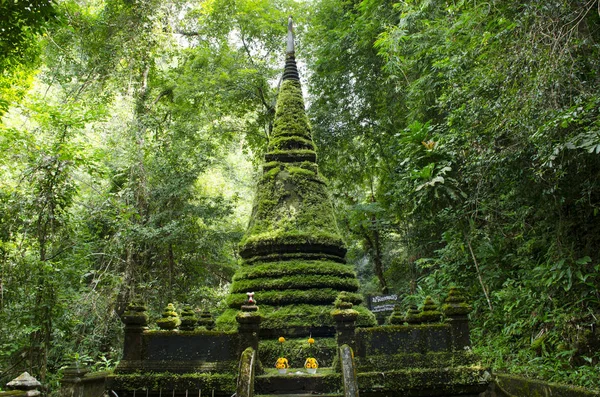 Chanthaburi Eyaleti Tayland 'daki Phlio Şelalesi Ulusal Parkı' ndaki eski pagoda ve yosun.