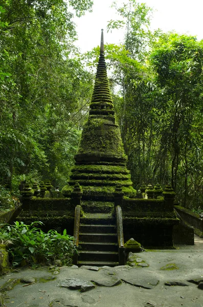 Chanthaburi Eyaleti Tayland 'daki Phlio Şelalesi Ulusal Parkı' ndaki eski pagoda ve yosun.
