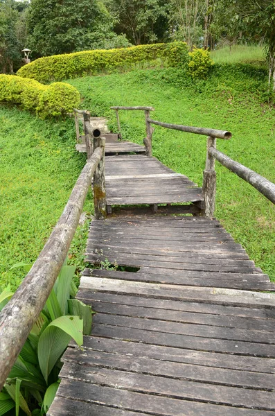 Boardwalk Forest — Stock fotografie