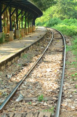 view of railway tracks in the forest