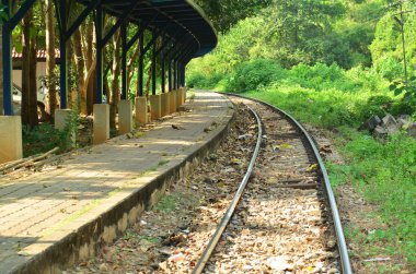 view of railway tracks in the forest