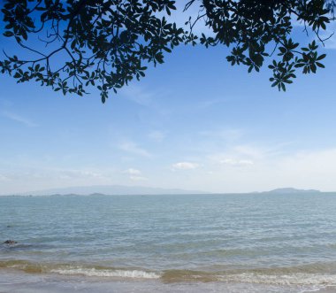 Deniz manzarası çok güzel. doğa arkaplanı