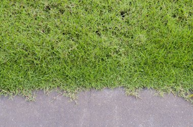 grass and road texture close up