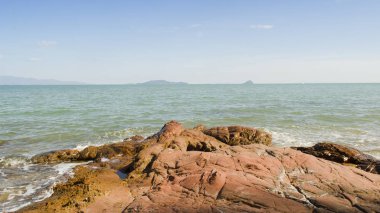 plaj ve tropikal deniz