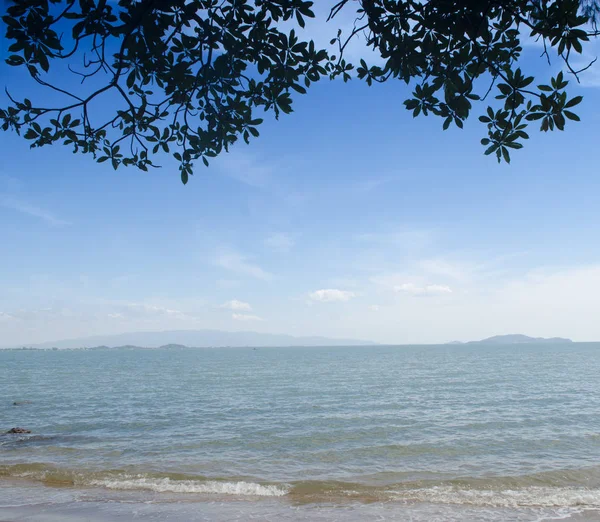 Deniz manzarası çok güzel. doğa arkaplanı