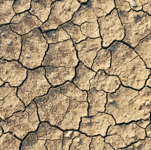 Kuru kırık toprak ayrıntılarını