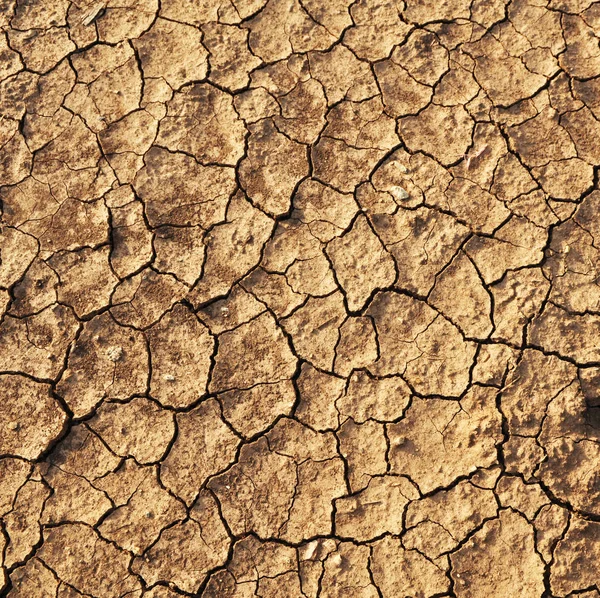 Kuru kırık toprak ayrıntılarını