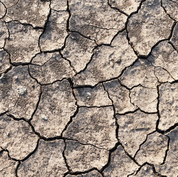 Kuru kırık toprak ayrıntılarını